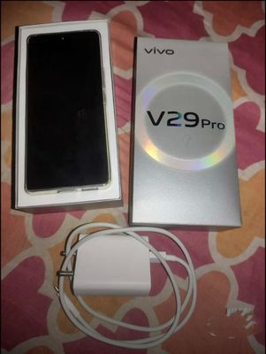 Vivo V29 Pro 8 GB/256 GB