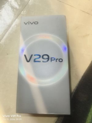 Vivo V29 Pro 8 GB/256 GB