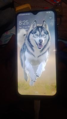 Vivo V11 Pro 6 GB/64 GB 2