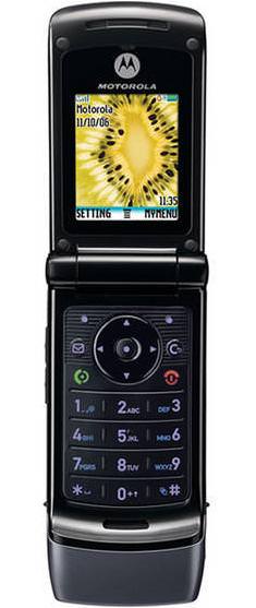 Motorola W355